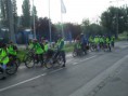 /album/kepgaleria-kepek/kerekpartura-a-mezovari-szigetre-2013-6-jpg/
